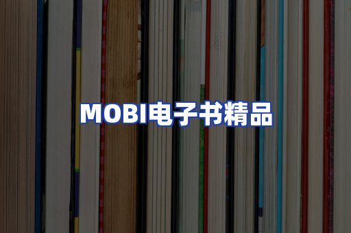 外文电子书产品